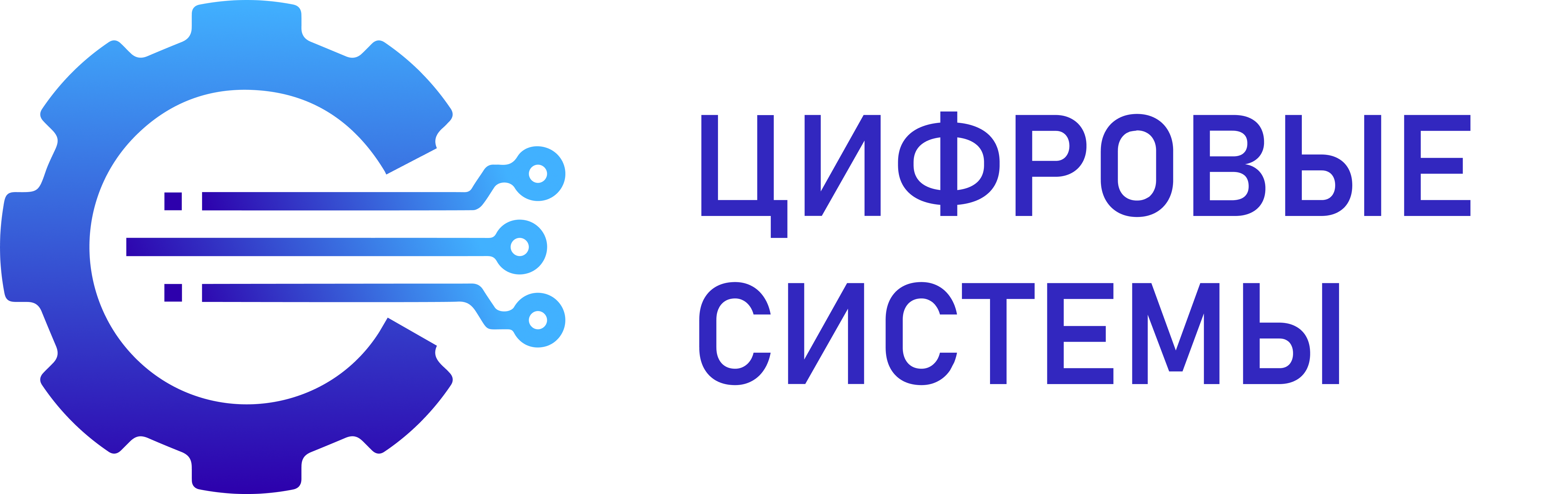 Цифровые системы - логотип